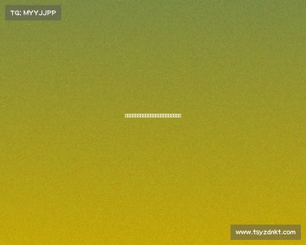 大型综合性赛事申办工作规范指南与全面流程指引